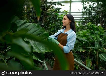 Young female gardener cutting plant growth in garden greenhouse. Landscaping occupation, green flower grooming chores routine at hothouse. Young female gardener cutting plant growth in garden
