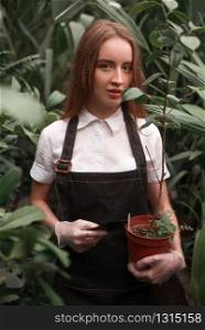 Young female gardener in apron with shovel in hands work in greenhouse.
