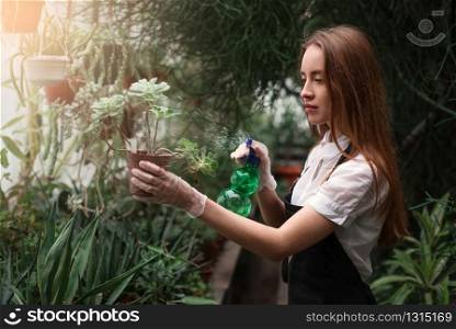 Young female gardener spraying water on flowers in greenhouse.
