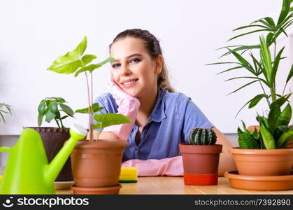 Young female gardener with plants indoors 