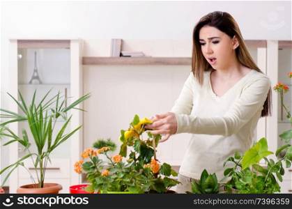 Young female gardener with plants indoors