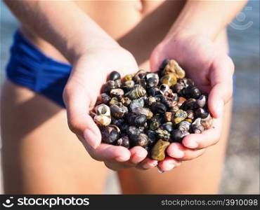 Young female person with hands full of salt water snails on the beach