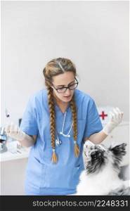 young female vet looking dog clinic