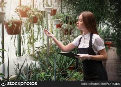 Young florist take care of home flowers in greenhouse. Exotic plants and flowers business concept.
