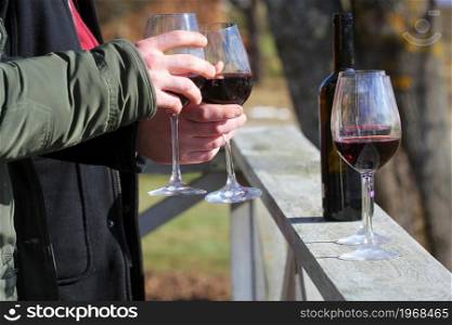 Young friends having fun outdoor clinking red wine glasses .Youth friendship concept .. Young friends having fun outdoor clinking red wine glasses .Youth friendship concept