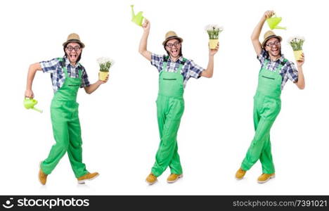 Young funny gardener with tulips and watering can isolated oin white. Young funny gardener with tulips and watering can isolated oin w