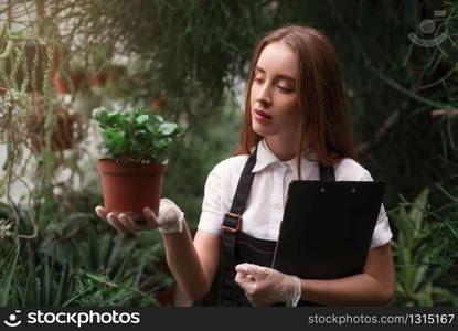 Young gardener take care of plant in greenhouse. Exotic plants and flowers business concept.