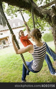 Young girl and boy on a tree swing