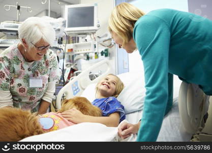 Young Girl Being Visited In Hospital By Therapy Dog