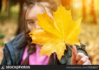 Young girl in a blurry background, covered with a yellowed maple leaf