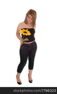 Young girl in jeans and strapless top and high heels, holding a yellowsunflower in her hand and looking at, for white background.