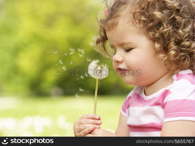 Young Girl In Summer Dress Sitting In Field Blowing Dandelion