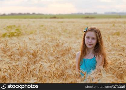 young girl on the wheat field