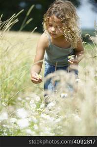 Young girl picking flowers in field