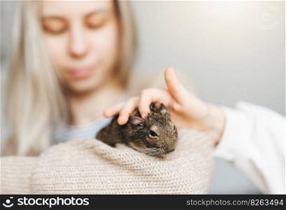 Young girl playing with cute chilean degu squirrel.  Cute pet sitting on woman’s hand