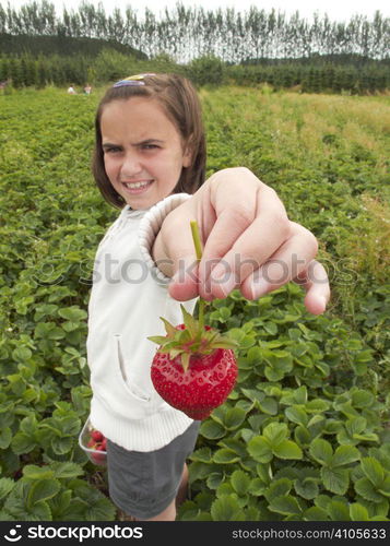 Young girl showing a strawberry she has picked