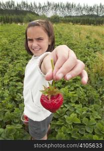 Young girl showing a strawberry she has picked