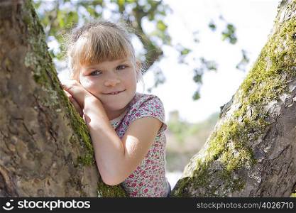 Young girl sitting in tree