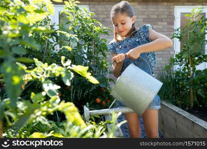 Young Girl Watering Raised Vegetable Beds At Home With Watering Can