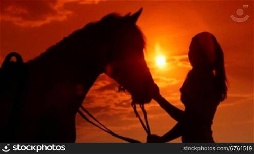 Young girl with her horse in rays of setting sun