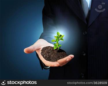 Young green plant in the hand of a businessman