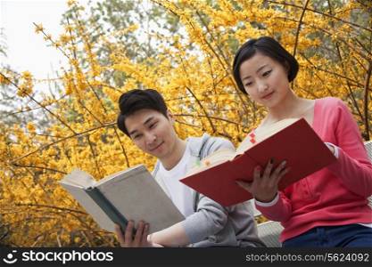 Young happy couple sitting on a park bench reading books, springtime in the park