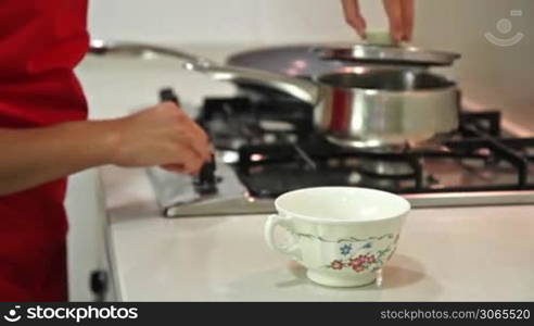 Young housewife working in the kitchen