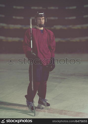 young ice hockey player portrait on a match. hockey player portrait