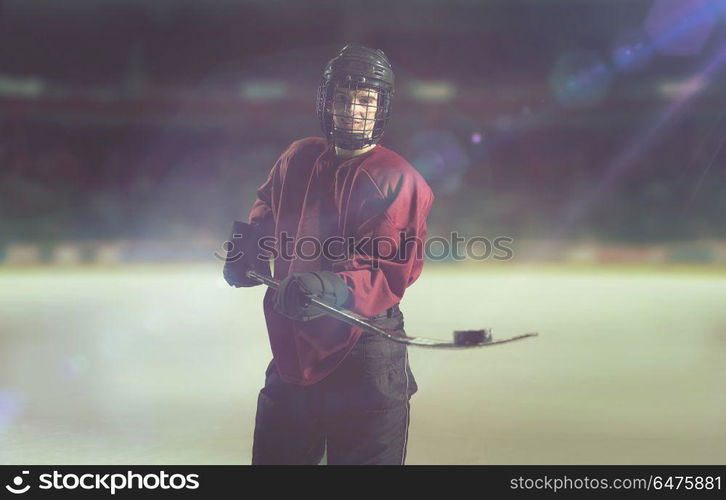 young ice hockey player portrait on a match. hockey player portrait