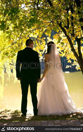 Young just married couple holding hands under tree and looking at river