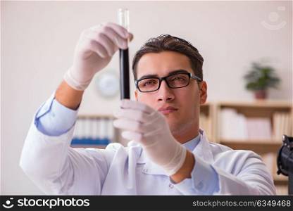 Young lab assistan working in the laboratory