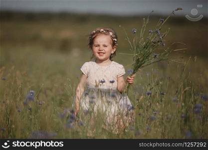 young little girl with long hair, white dress lonely walking in the poppy field and collecting flowers for a bouquet. little girl with a bouquet of wild flowers. young little girl with long hair, white dress lonely walking in the poppy field and collecting flowers for a bouquet