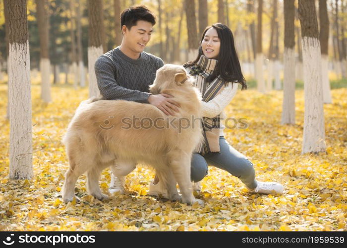 Young lovers and their pet dog playing in the woods in autumn