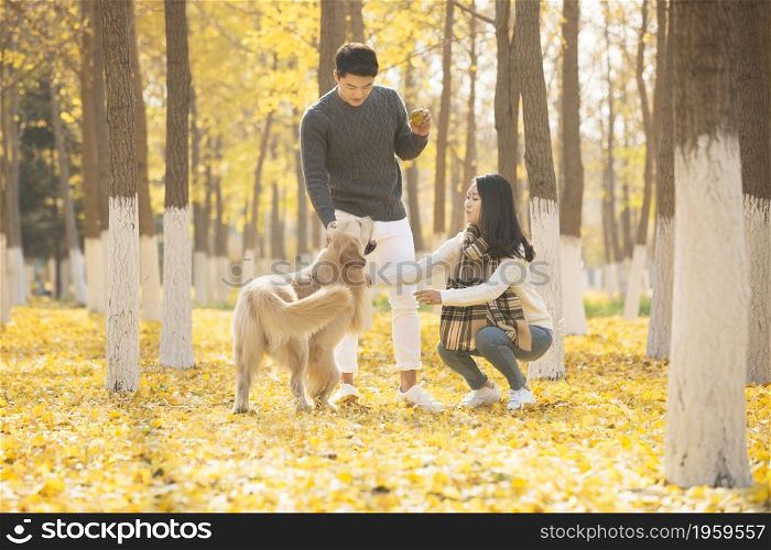 Young lovers and their pet dog playing in the woods in autumn