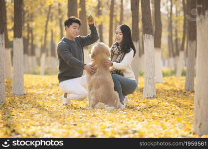 Young lovers and their pet dog playing in the woods in autumn