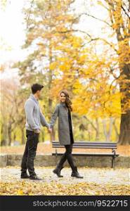 Young loving couple having a walk in the autumn park