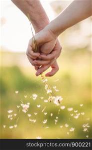 Young loving couple holding hands each other with bouquet of dandelions in summer park, view of hands. A pair of hands holds a dandelion. Young loving couple holding hands each other with bouquet of dandelions in summer park, view of hands. A pair of hands holds a dandelion.