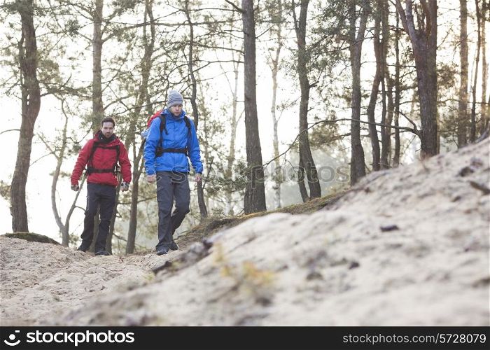 Young male backpackers hiking in forest