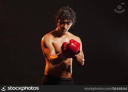 Young male boxer wearing gloves