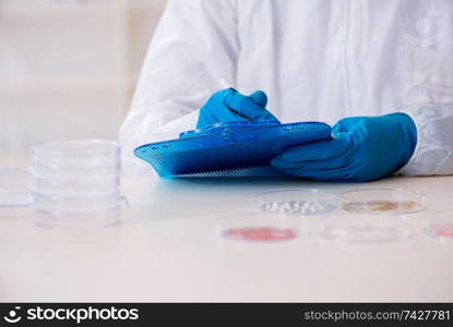 Young male chemist working in the lab 