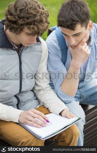 Young male college friends studying together in park