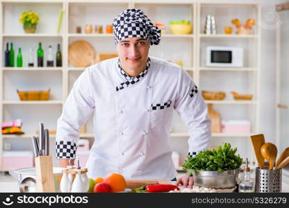 Young male cook working in the kitchen