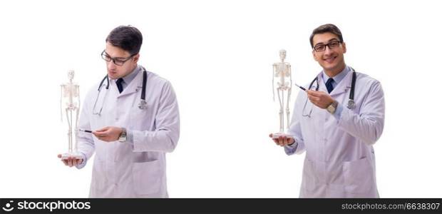Young male doctor with skeleton isolated on white. Yong male doctor with skeleton isolated on white