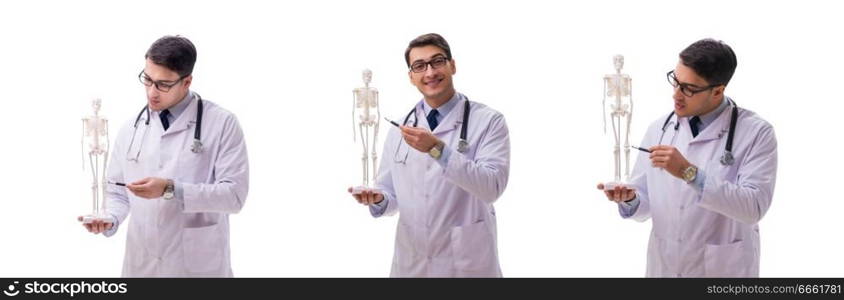 Young male doctor with skeleton isolated on white. Yong male doctor with skeleton isolated on white