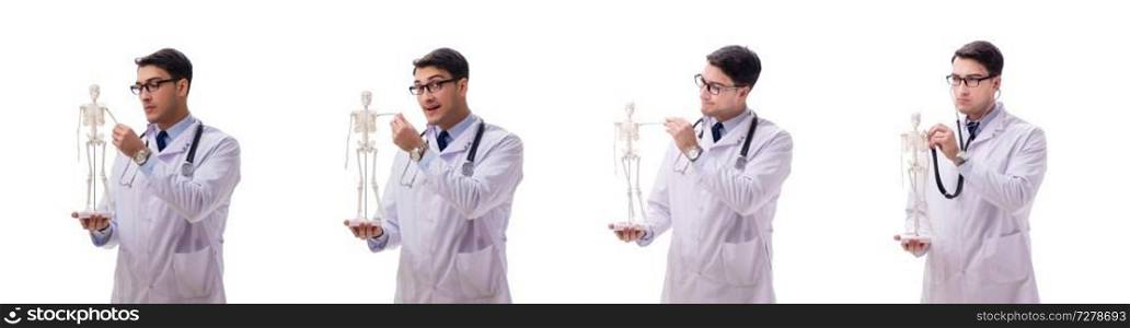 Young male doctor with skeleton isolated on white. Yong male doctor with skeleton isolated on white