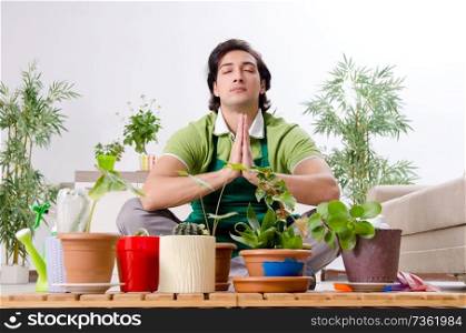 Young male gardener with plants indoors 