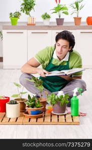 Young male gardener with plants indoors 