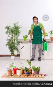Young male gardener with plants indoors 