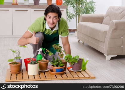 Young male gardener with plants indoors 