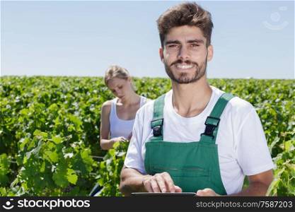 young male worker holding tablet in vineyard